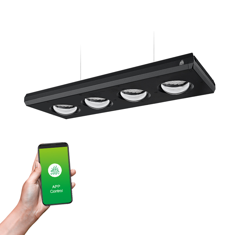 Lampu LED Akuarium Week Aqua Z - Planted Aquarium High Tech ulasan dan harga
