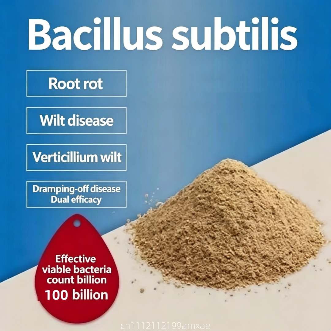Bubuk Bacillus Subtilis Aktivi - Planted Aquarium Fertilizer ulasan dan harga