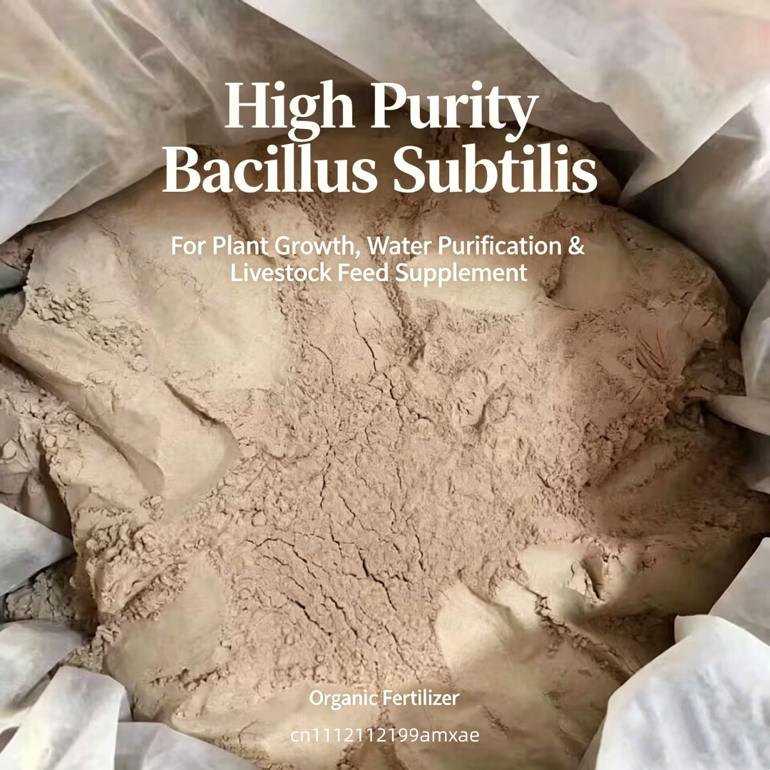 Bubuk Bacillus Subtilis Aktivi - Planted Aquarium Fertilizer ulasan dan harga