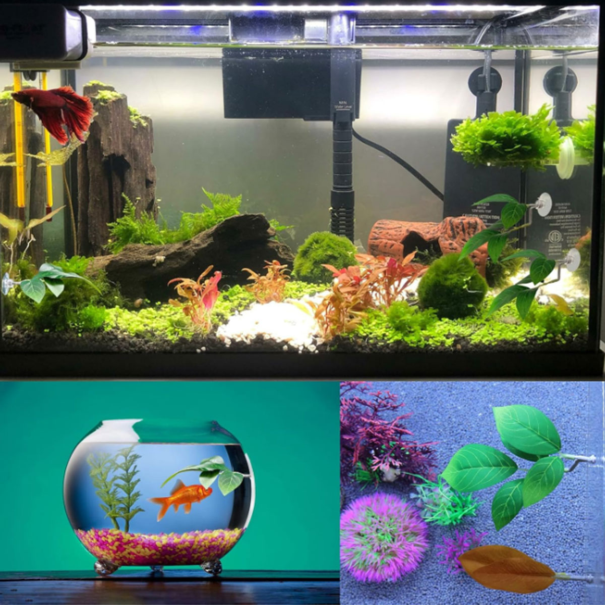 1 Buah Tempat Tidur Ikan Betta - Aquarium Plant Design ulasan dan harga