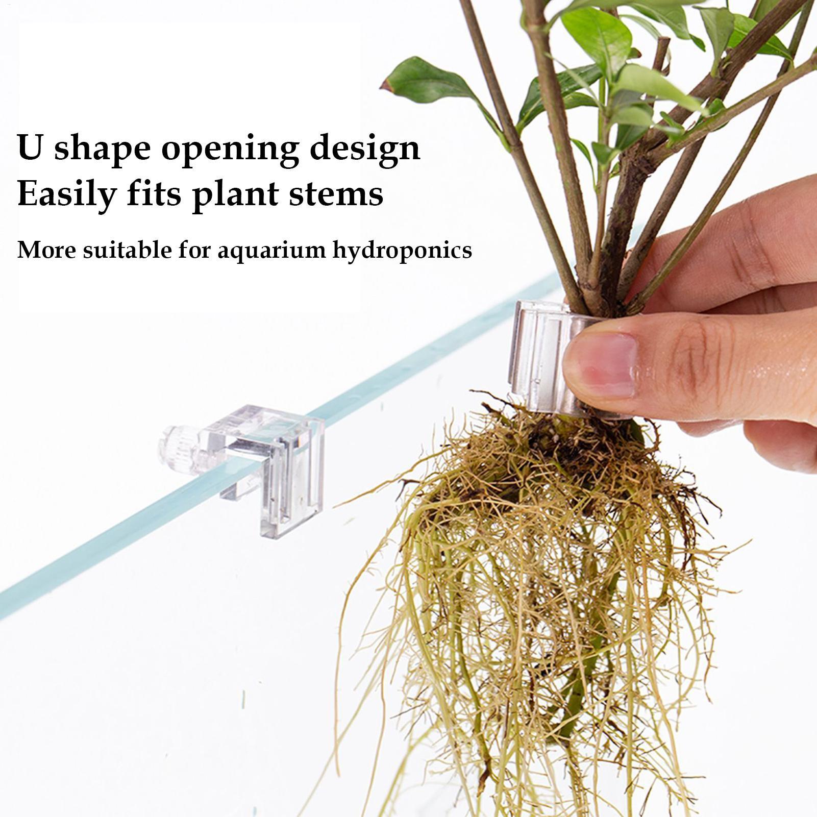 Tempat Tanaman Akuarium 6 Buah - Aquarium Plant Diseases ulasan dan harga