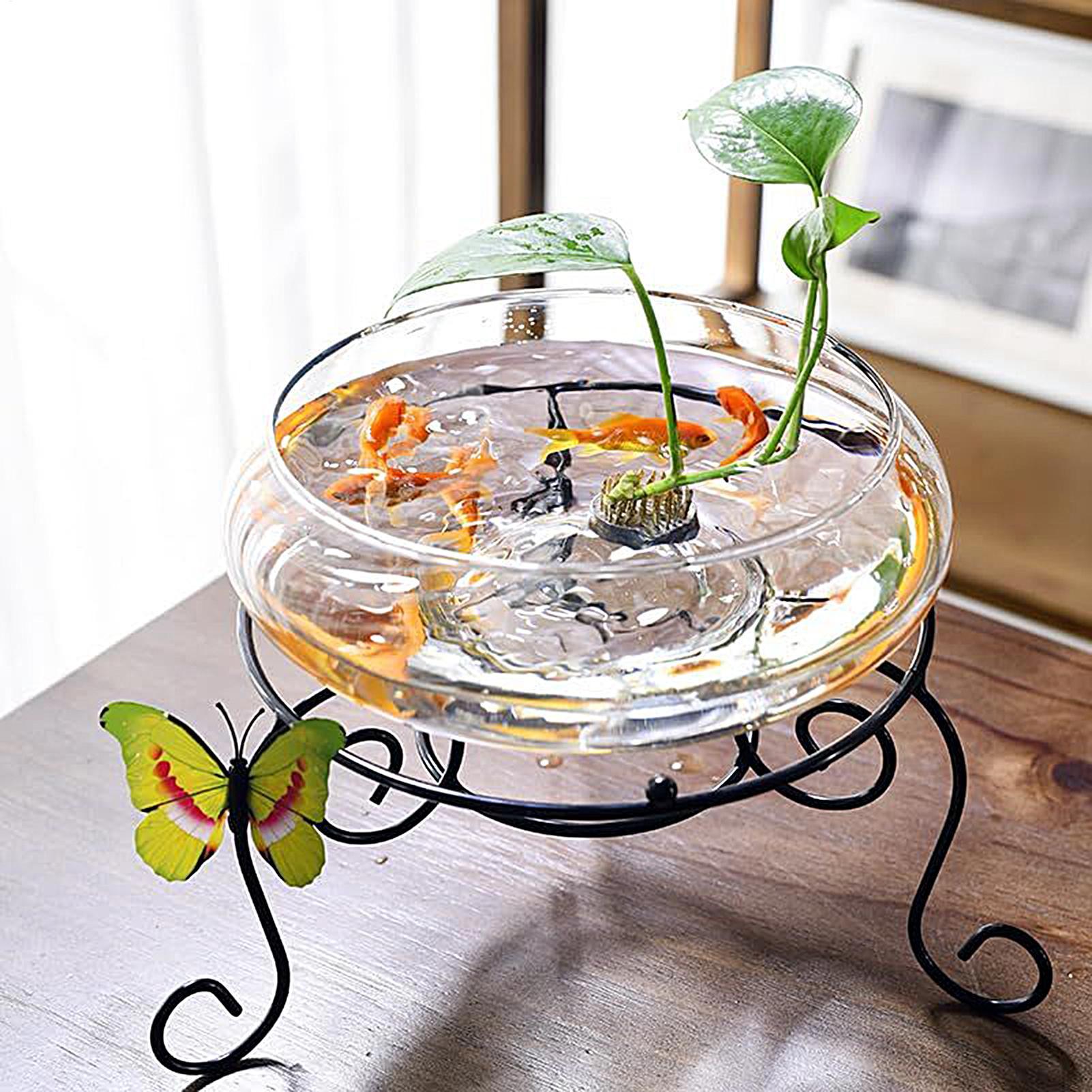 Mangkuk Kaca Ikan Pot Bunga Hi - Planted Aquarium Bowl ulasan dan harga