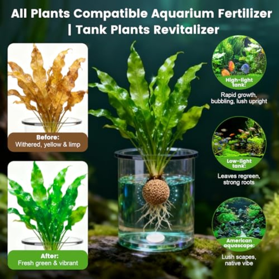 Root Tabs, Pupuk Tanaman Akuar - Planted Aquarium Fertilizer ulasan dan harga