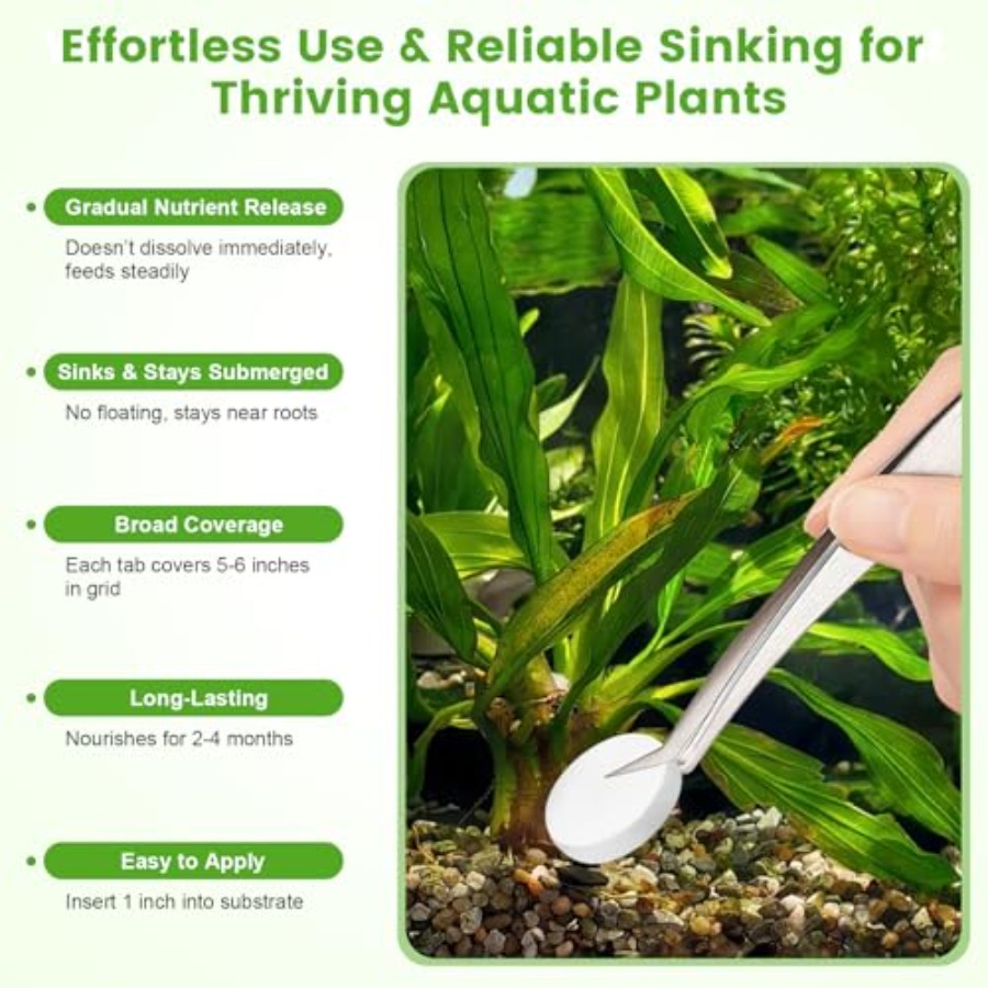 Root Tabs, Pupuk Tanaman Akuar - Planted Aquarium Fertilizer ulasan dan harga