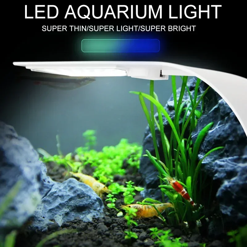 Lampu Aquarium LED, Ultra tipi - Aquarium Plant Diseases ulasan dan harga