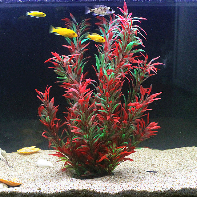 50CM Kolam Ikan Buatan Tanaman - Aquarium Plant Design ulasan dan harga