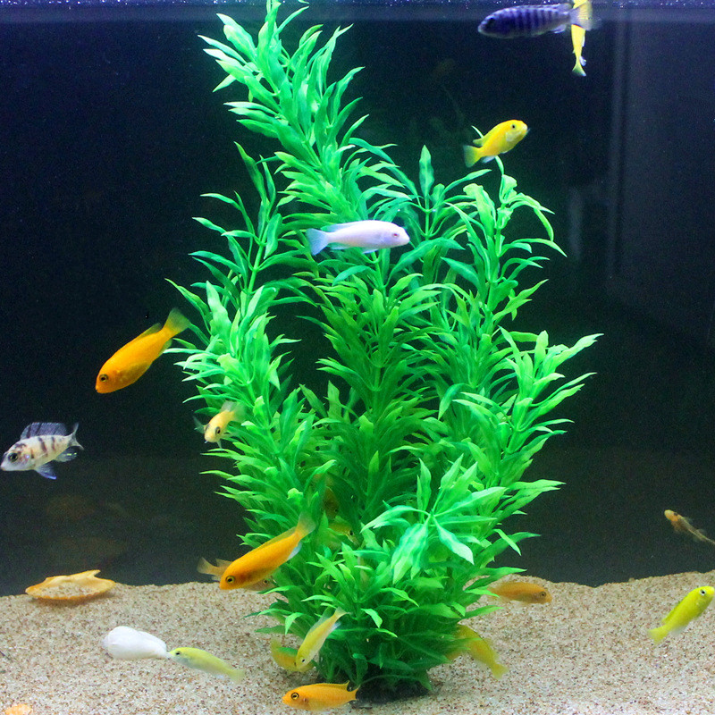 50CM Kolam Ikan Buatan Tanaman - Aquarium Plant Design ulasan dan harga