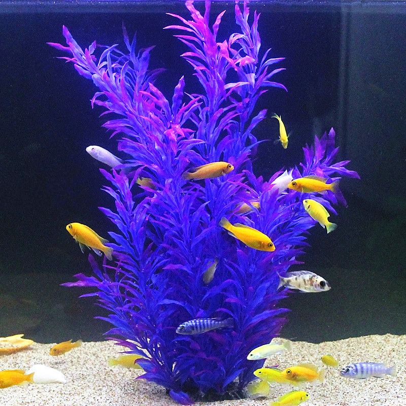 50CM Kolam Ikan Buatan Tanaman - Aquarium Plant Design ulasan dan harga