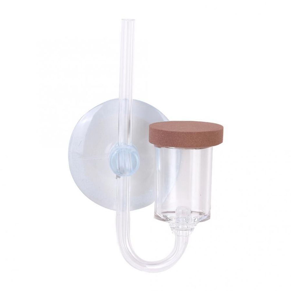 Akuarium Mini Akrilik Tanaman  - Planted Aquarium Aquascape ulasan dan harga