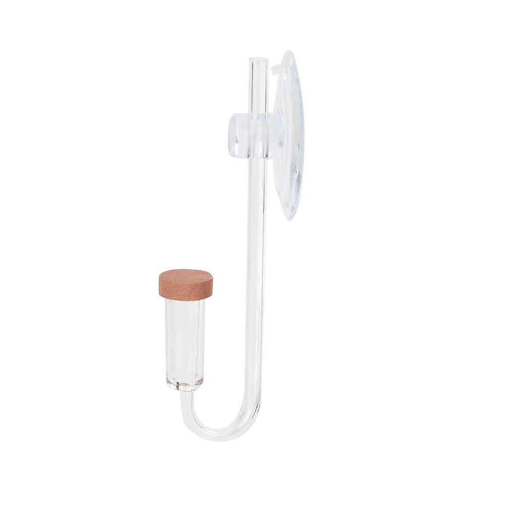 Akuarium Mini Akrilik Tanaman  - Planted Aquarium Aquascape ulasan dan harga