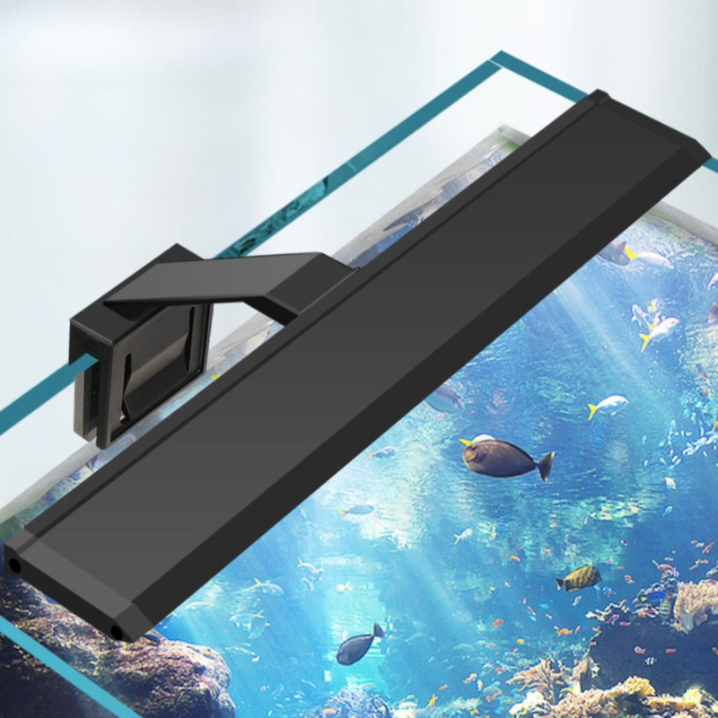Lampu Akuarium LED Clip-on, La - Planted Aquarium Bowl ulasan dan harga
