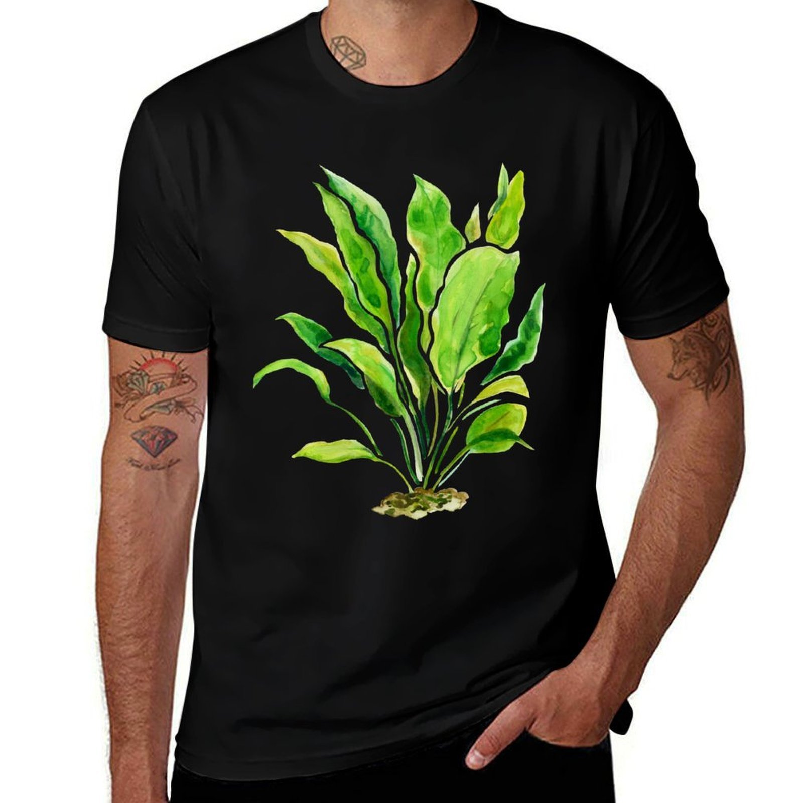 Aquarium Plants Series Amazon  - Planted Aquarium Basics ulasan dan harga