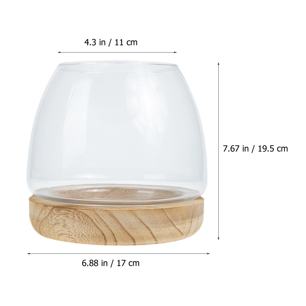 1Set Vas Tanaman Hidroponik Be - Planted Aquarium Bowl ulasan dan harga