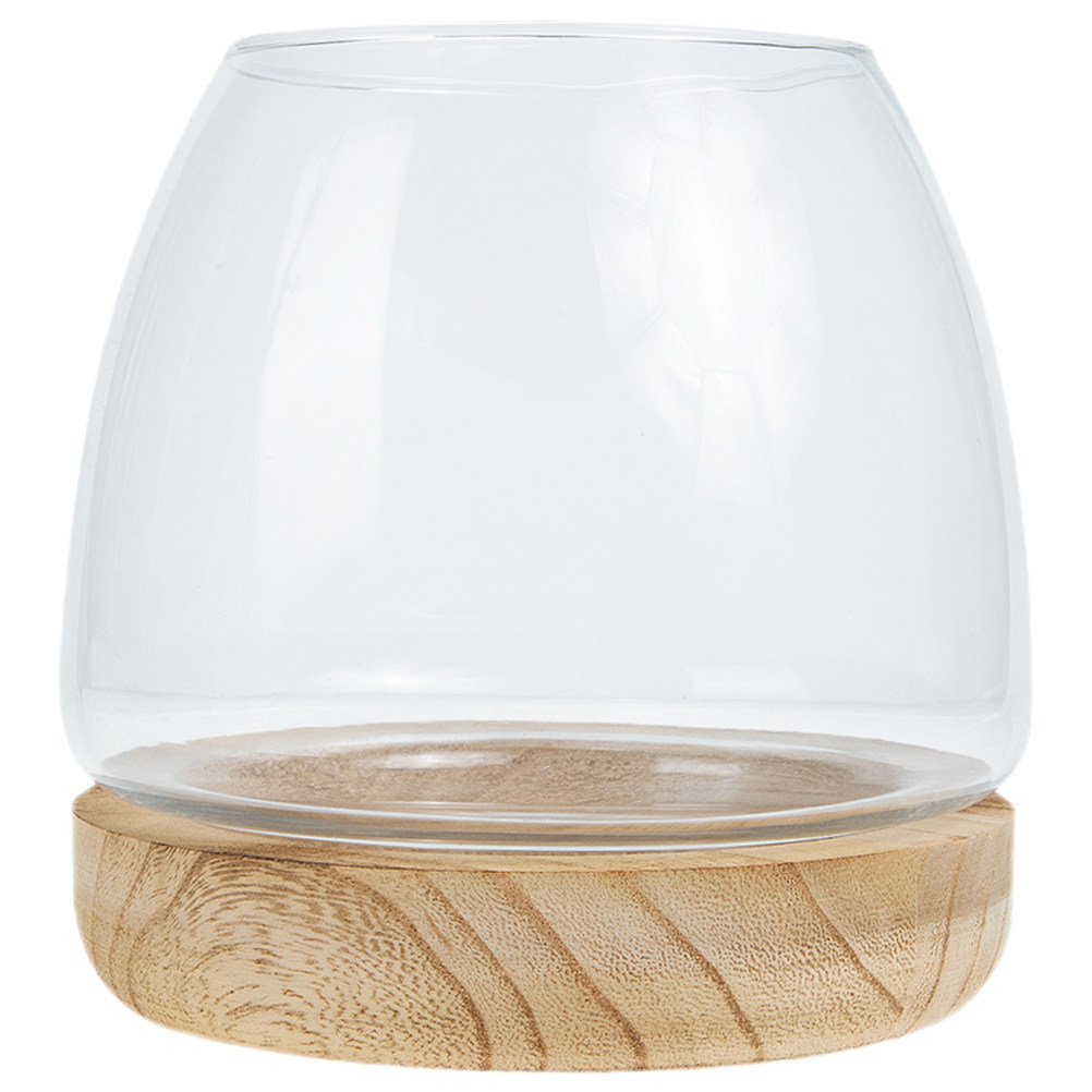 1Set Vas Tanaman Hidroponik Be - Planted Aquarium Bowl ulasan dan harga