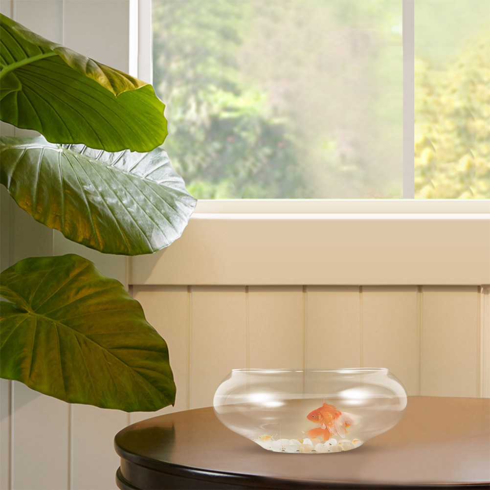 Akuarium Kaca Mini untuk Ikan  - Planted Aquarium Bowl ulasan dan harga
