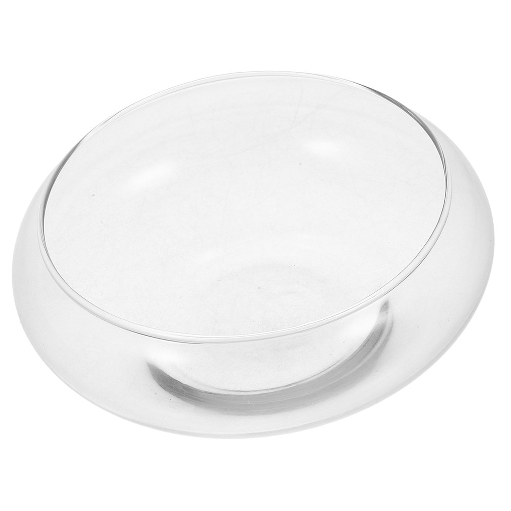 Akuarium Kaca Mini untuk Ikan  - Planted Aquarium Bowl ulasan dan harga